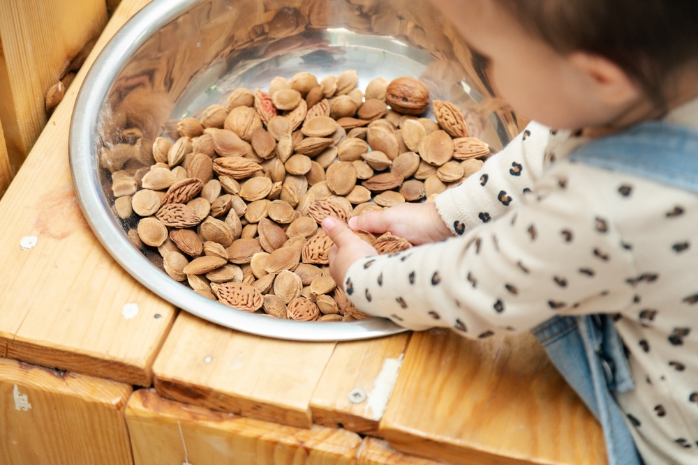 Sensory exploration